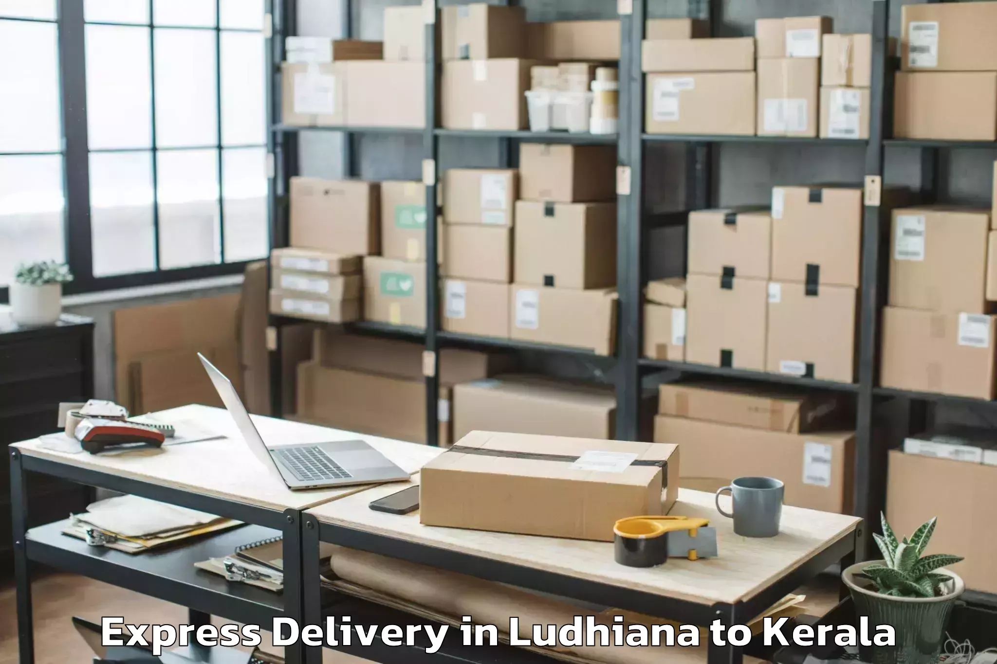 Book Ludhiana to Mall Of Joy Thrissur Express Delivery Online